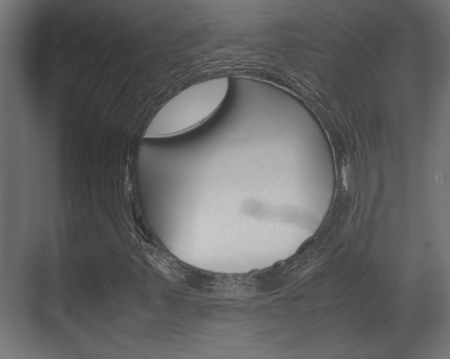 X0000072531347200607141000