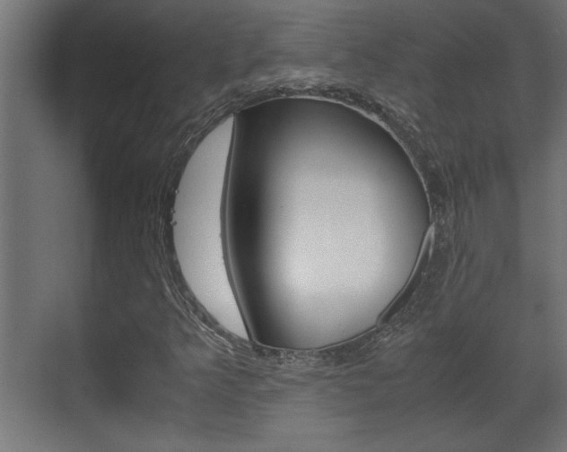 X0000072531349200607141000