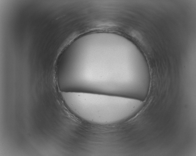 X0000072531362200607140959