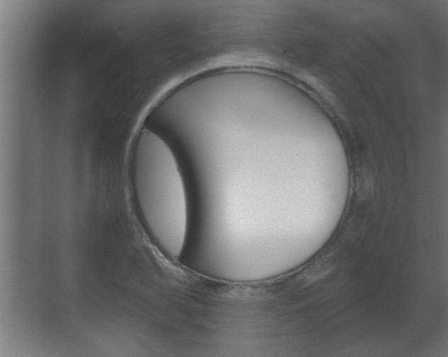 X0000072531366200607140959