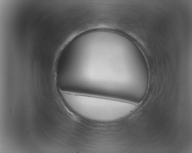 X0000072531367200607140959