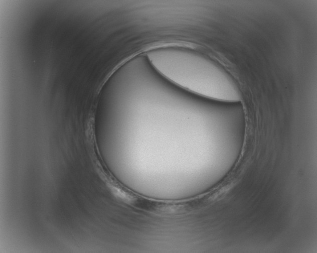 X0000072531369200607140959