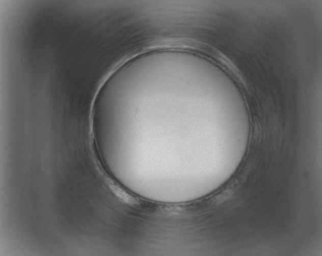 X0000072531370200607140959
