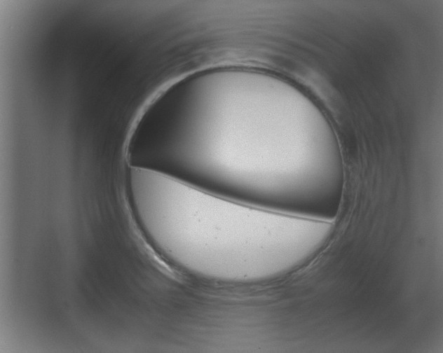 X0000072531371200607140959