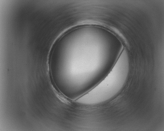 X0000072531372200607140959