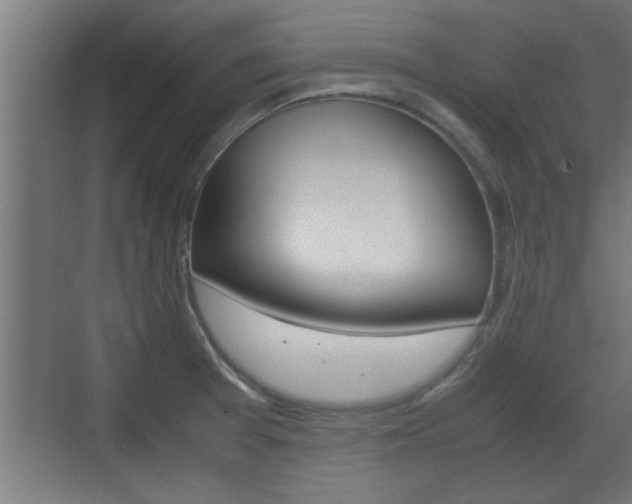 X0000072531377200607140959