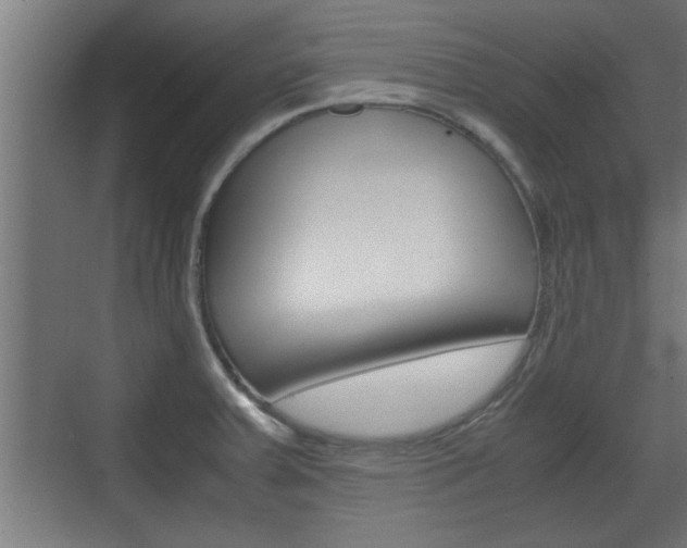X0000072531379200607140959