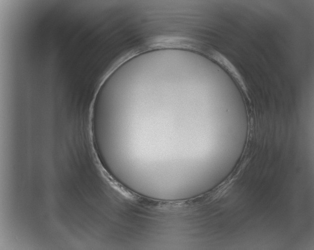 X0000072531386200607140959
