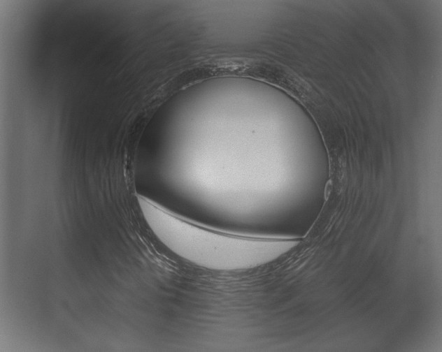X0000072531394200607140958