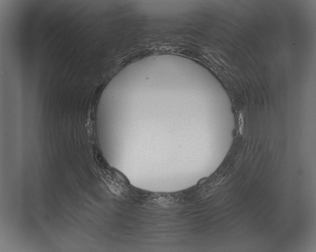 X0000072531395200607140958
