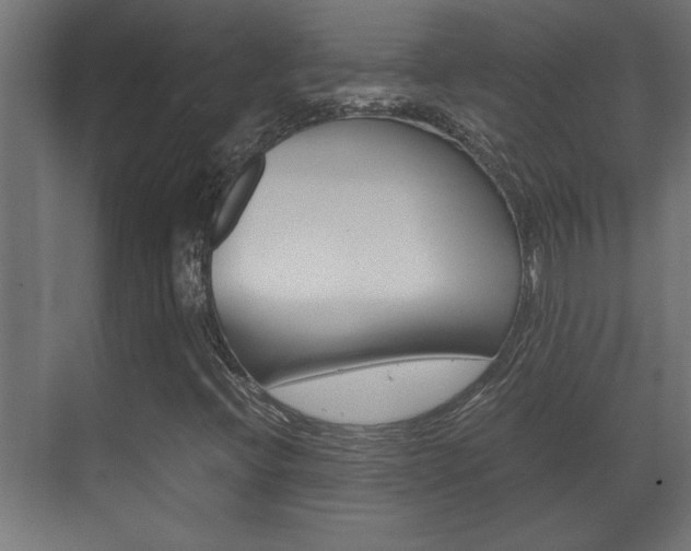 X0000072531396200607140958