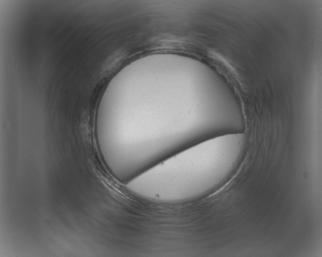 X0000072531403200607140958