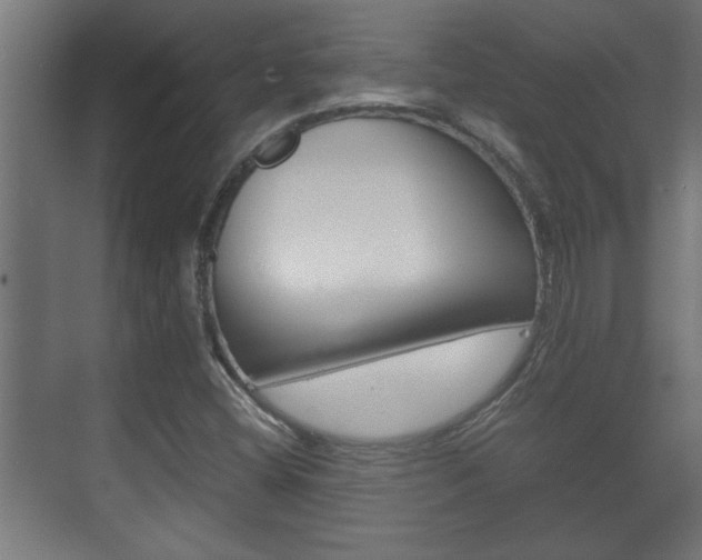 X0000072531404200607140958