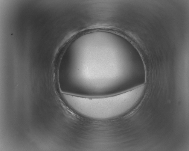 X0000072531406200607140958