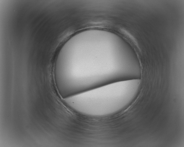 X0000072531411200607140958