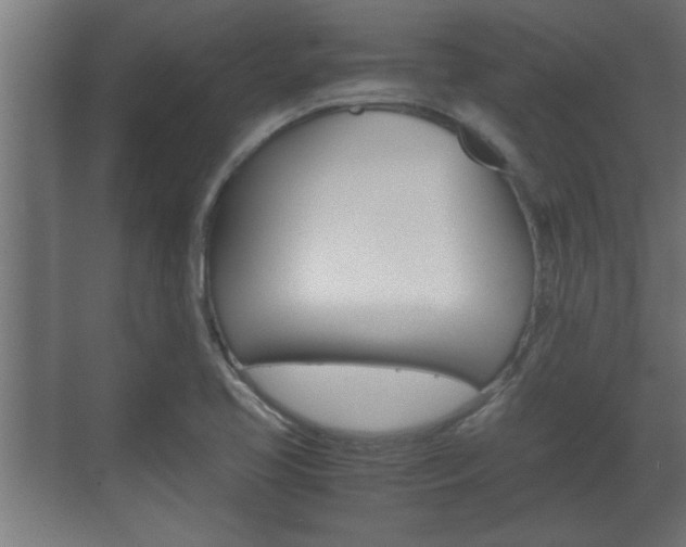 X0000072531413200607140958