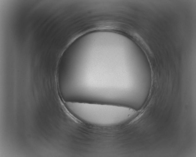 X0000072531417200607140958