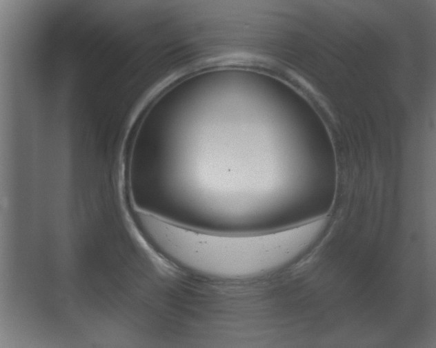X0000072531418200607140958