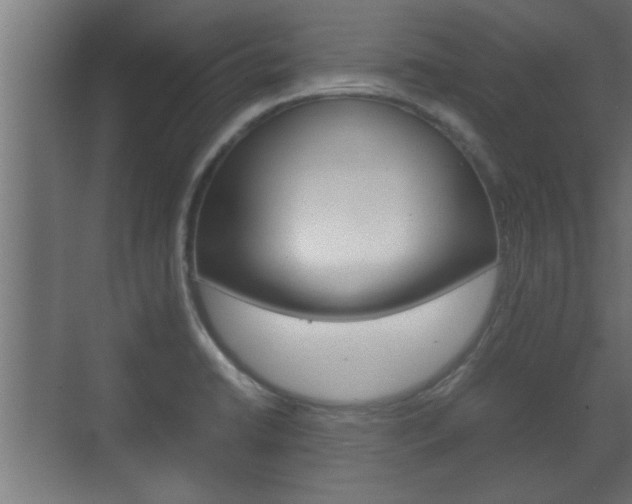 X0000072531422200607140959