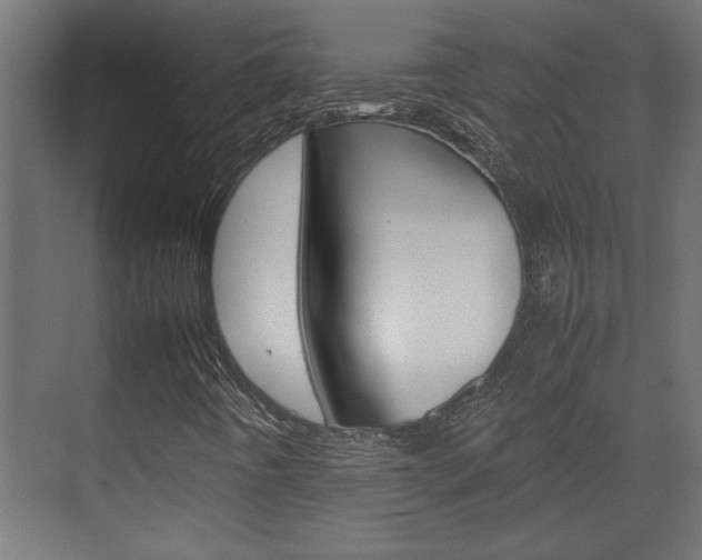 X0000072531442200607140958