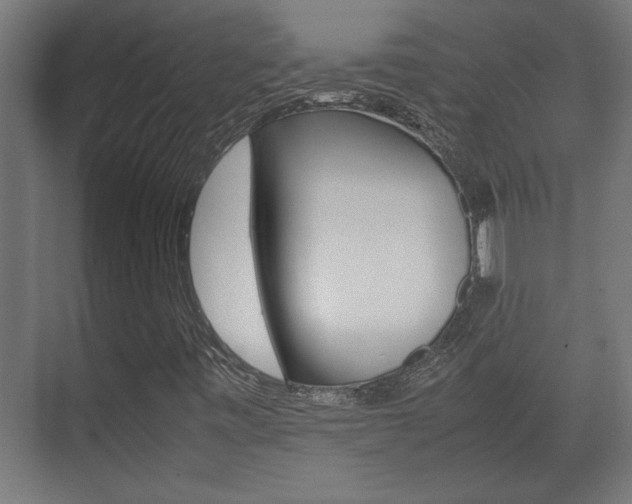 X0000072531443200607140958