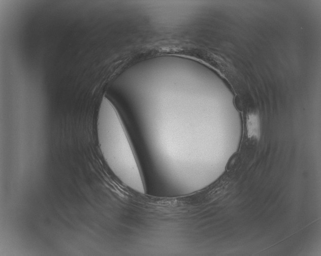 X0000072531444200607140958