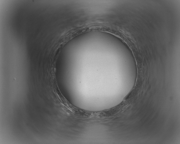 X0000072531445200607140958