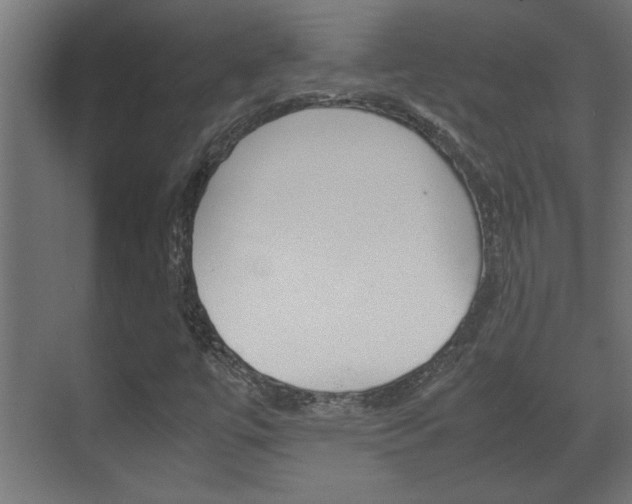 X0000072531447200607140958