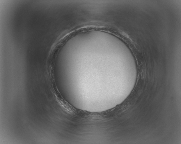 X0000072531448200607140958