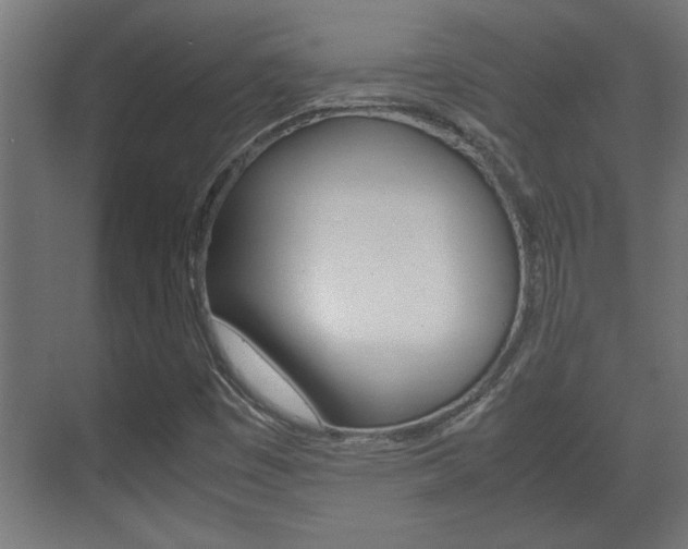 X0000072531449200607140958