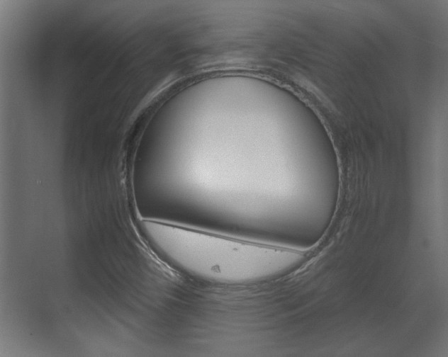 X0000072531450200607140958