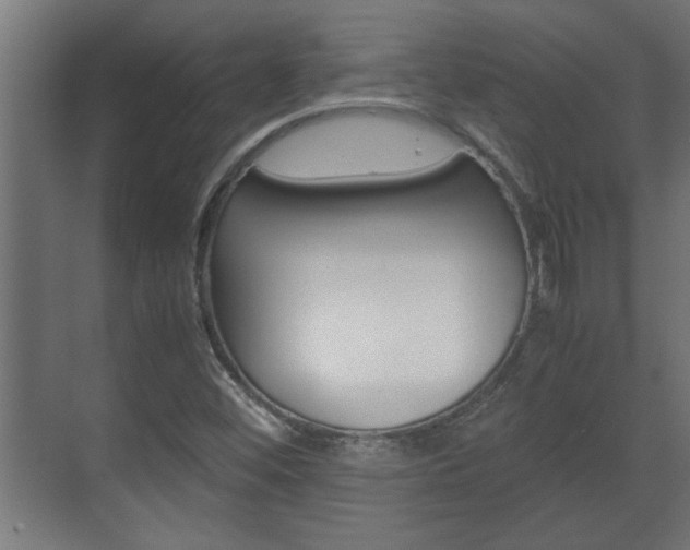 X0000072531452200607140958