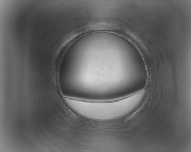 X0000072531453200607140958