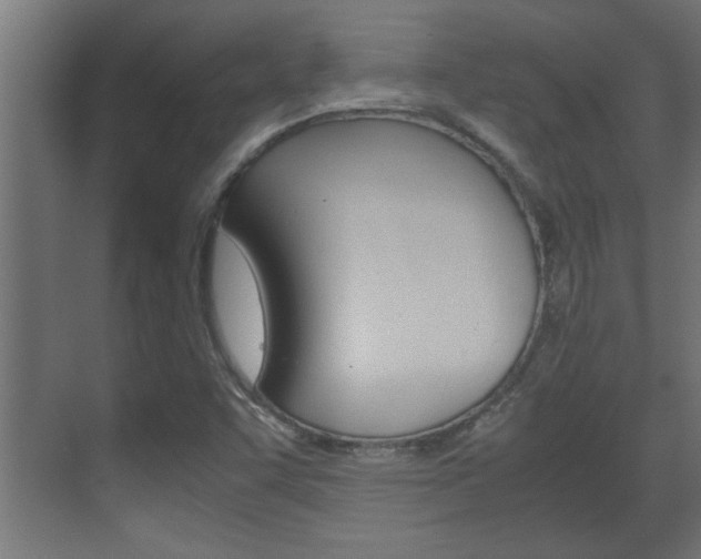 X0000072531455200607140958