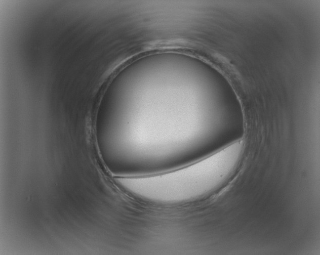 X0000072531457200607140958
