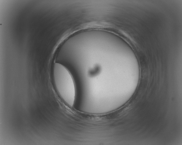 X0000072531459200607140958