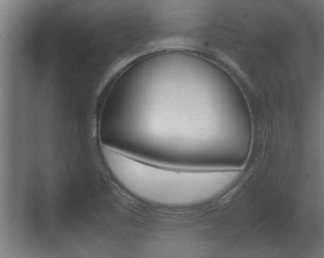 X0000072531461200607140958