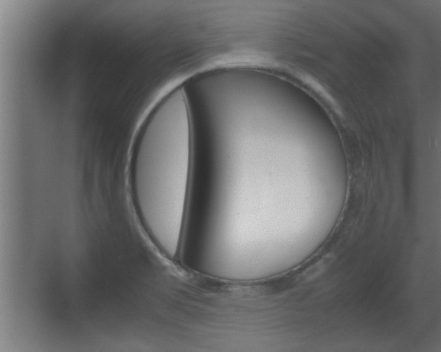 X0000072531469200607140958