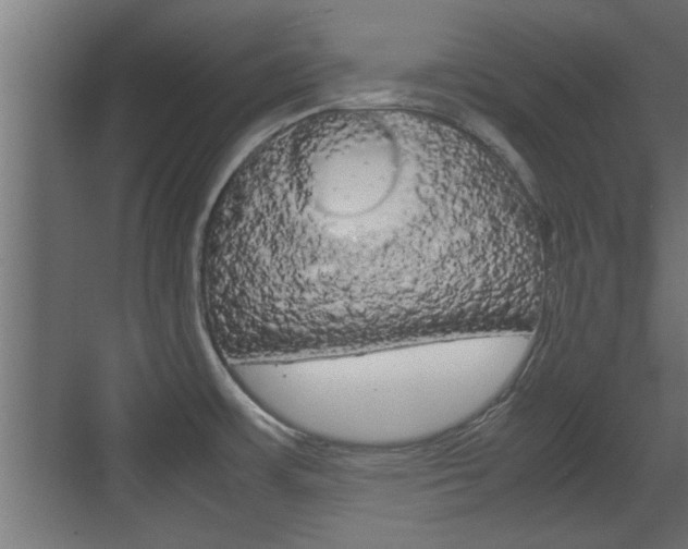 X0000072531483200607140957
