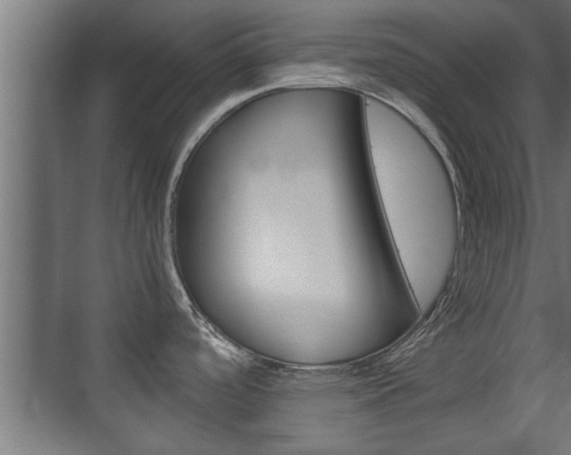 X0000072531488200607140957