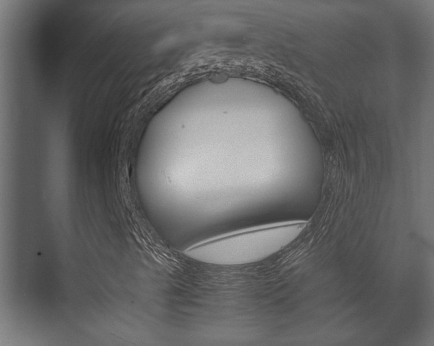X0000072531489200607140956
