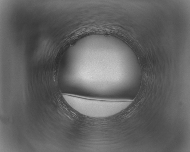X0000072531490200607140956