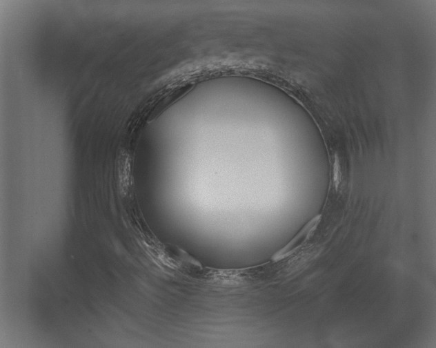 X0000072531492200607140957