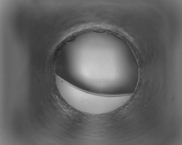 X0000072531496200607140957