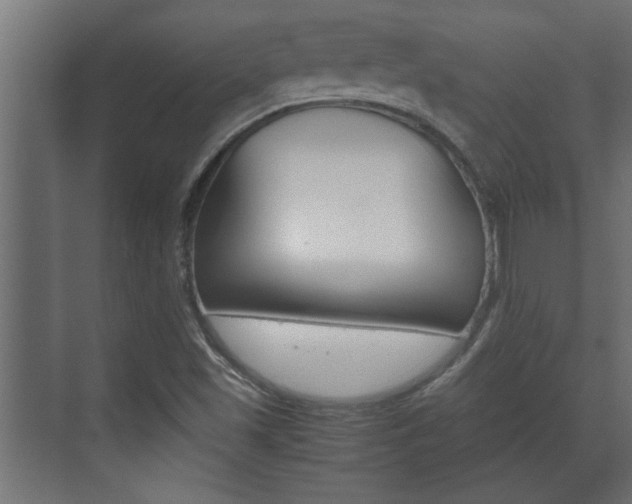 X0000072531501200607140957