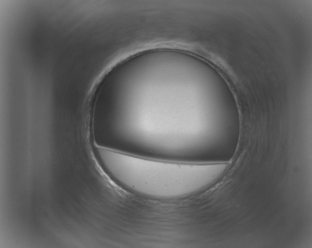 X0000072531504200607140957
