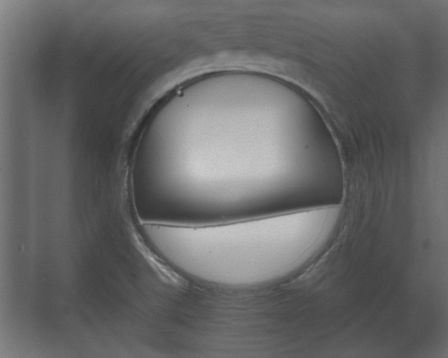 X0000072531507200607140957