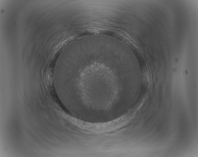 X0000072530043200607141213