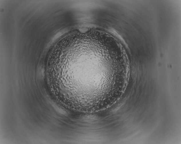 X0000072530063200607141213