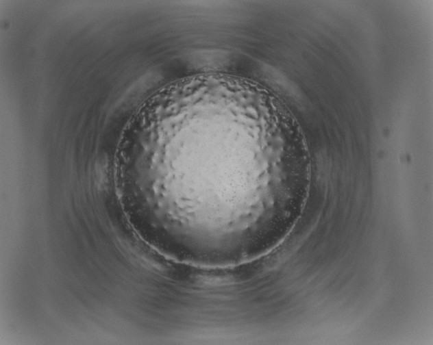 X0000072530073200607141213